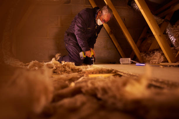 Best Specialized Insulation Services in Rexburg, ID